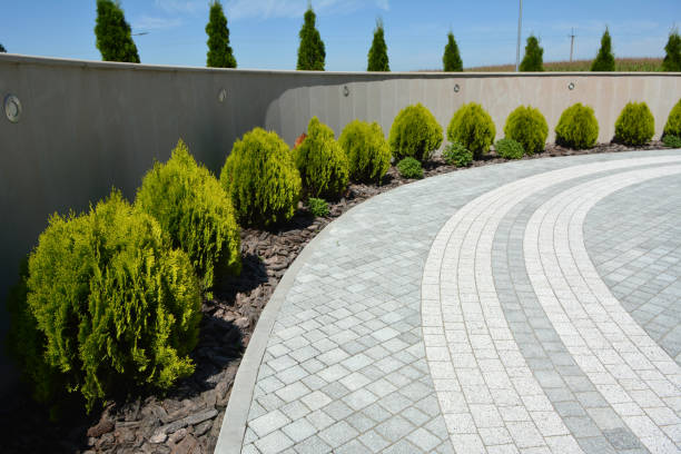 Best Commercial Driveway Pavers  in Clifton Knolls Mill Creek, NY